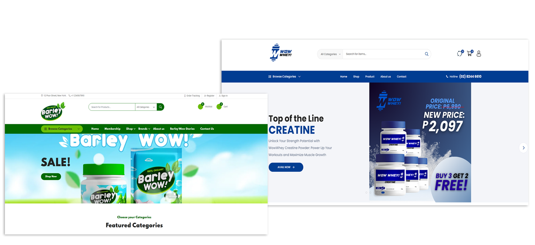 Software Product Launch