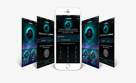Software Product Launch